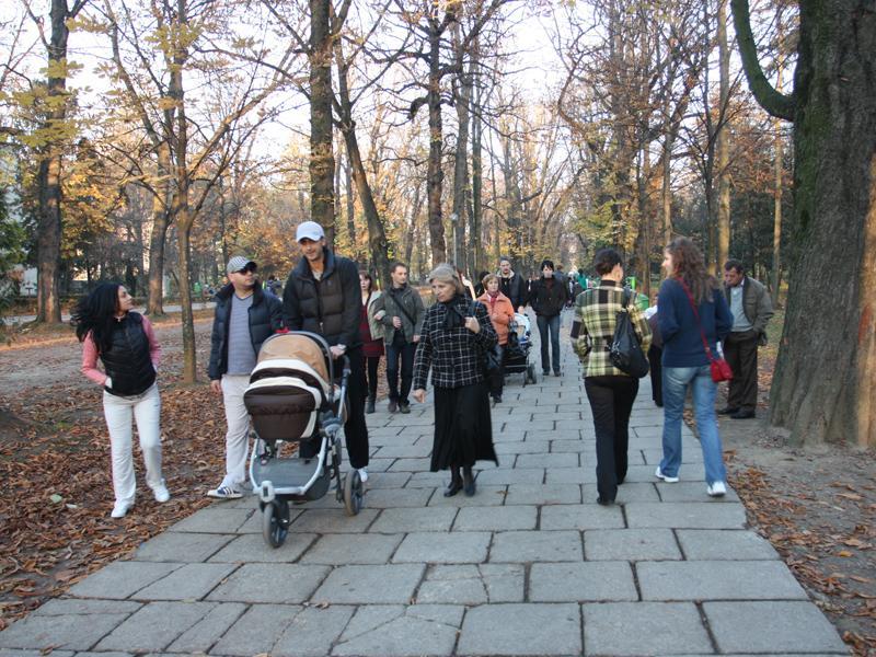 Contractul pentru reabilitarea parcului central din Cluj se semnează luni