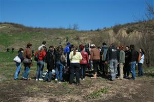 12.000 de puieţi de copaci, plantaţi în această săptămână în Pădurea Tineretului