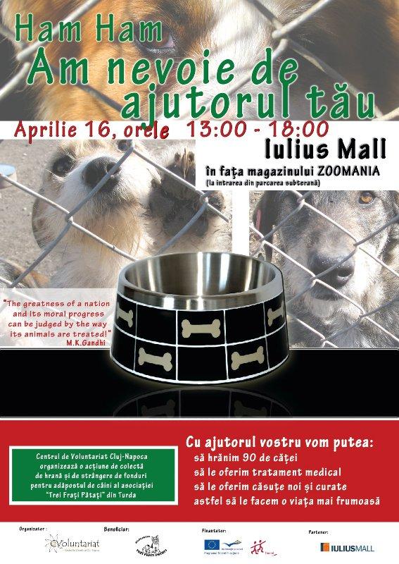 Oferă mâncare pentru câinii abandonaţi. Vezi unde poţi dona