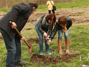 Apostu, supărat pe consilierii PDL care nu au venit la plantări