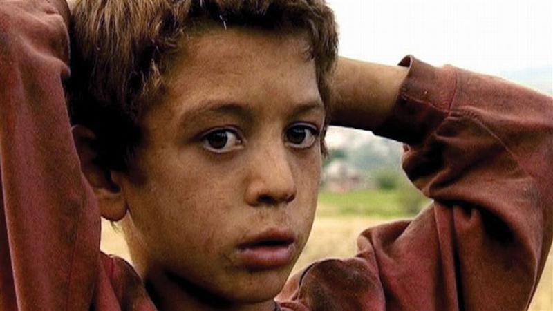 TIFF Documentare în premieră naţională 