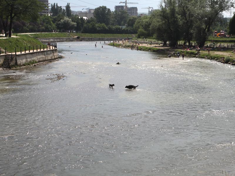 Lupta pentru amenajarea râului Someş începe în 2 iunie 