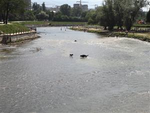 Lupta pentru amenajarea râului Someş începe în 2 iunie 