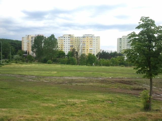 TIFF 2011 Mănăşturul, pregătit pentru Mănăştur Open Air FOTO
