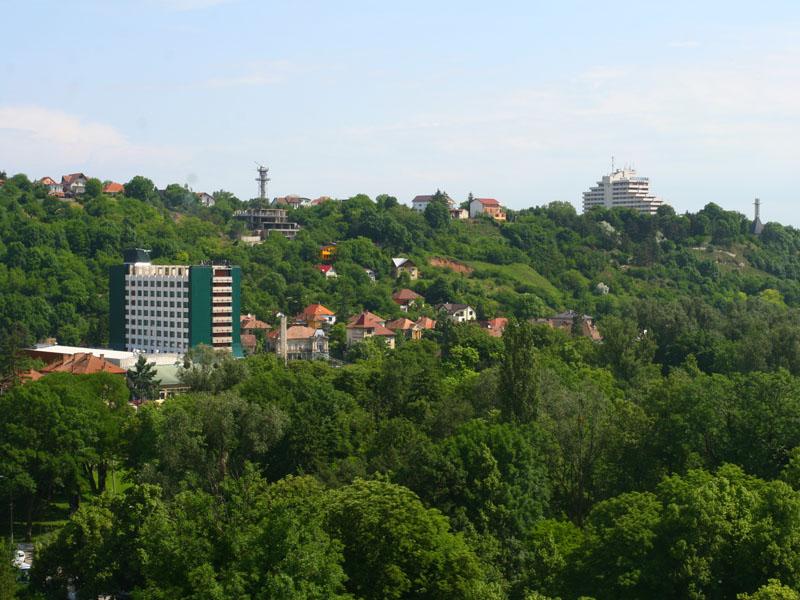 Licitaţia pentru întreţinerea zonelor verzi, “în aer”      