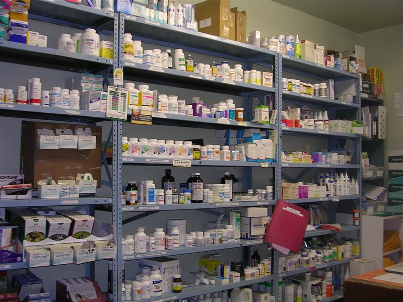Clujenii afectaţi de caniculă pot intra în cabinetele medicale şi în farmacii pentru prim-ajutor