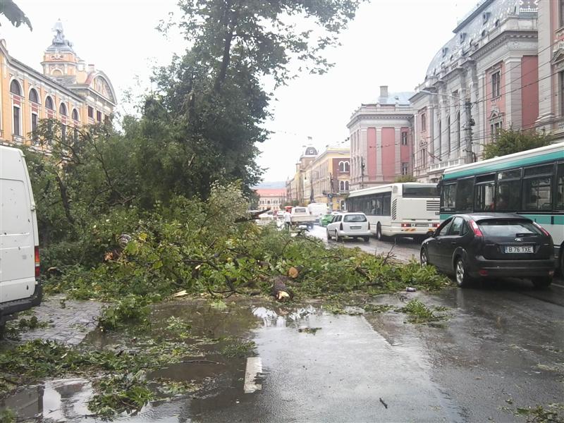 Copacii parcului din spatele Teatrului Naţional, culcaţi la pământ de furtună GALERIE FOTO