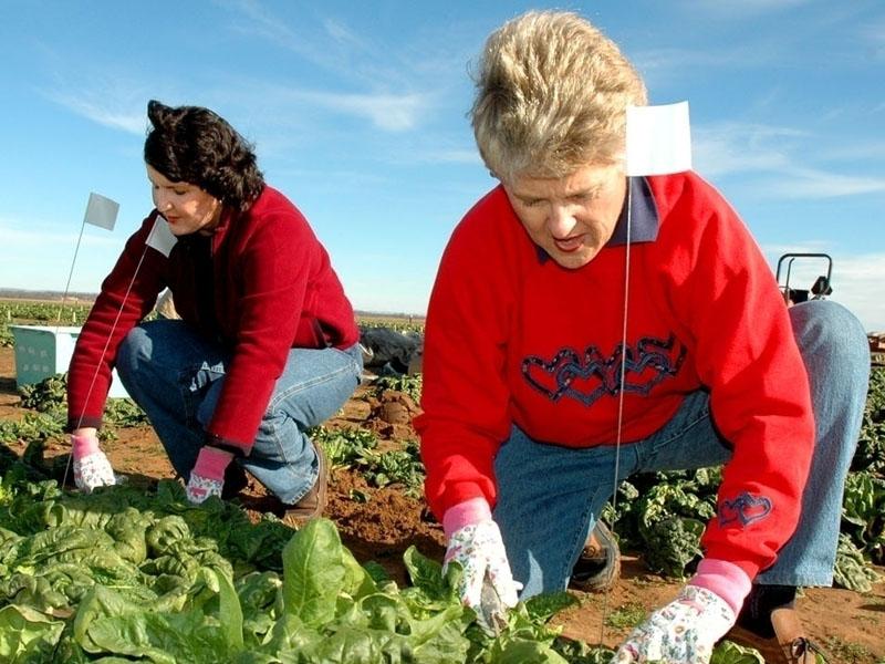Restricţiile de muncă în Spania strică afacerile la Cluj