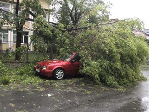 Clujenii fac coadă la daune după furtună