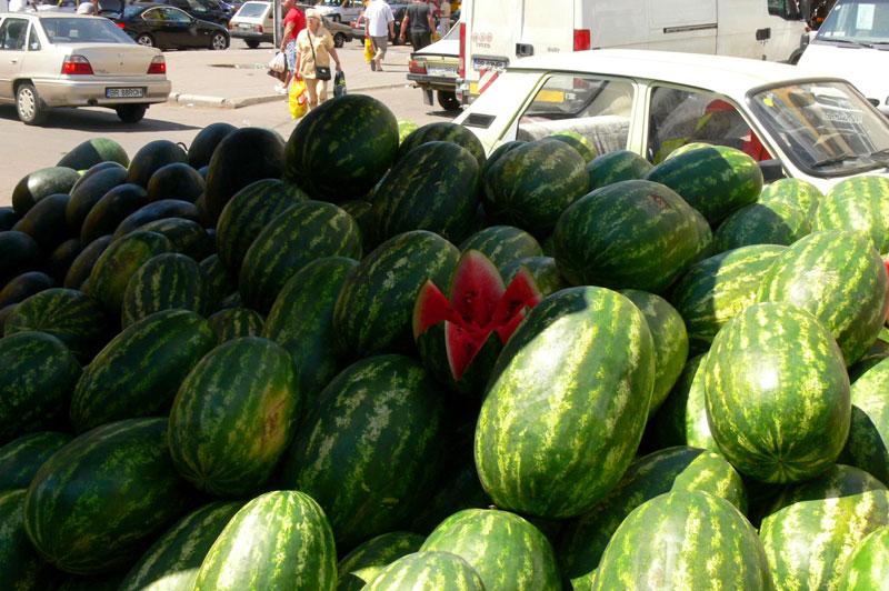 Poliţiştii locali au tăbărât pe 