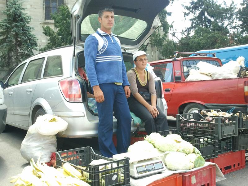 Cum ajung tinerii în agricultură? Rămân şomeri 