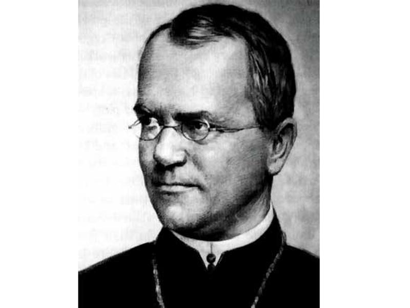 SUPLIMENT Ce a oferit lumii Biserica Catolică