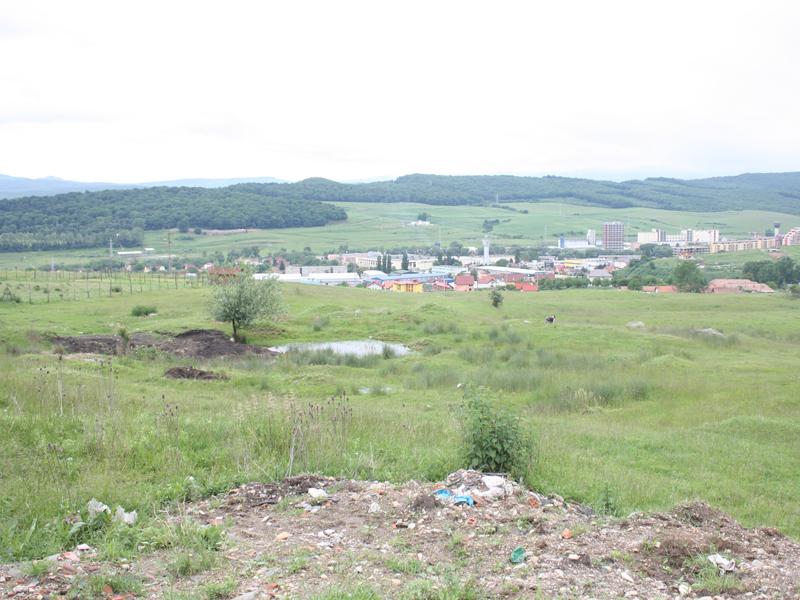 Peste 7 hectare pentru revoluţionari în Lomb