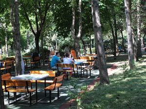 Clujul mai încearcă o dată să prindă titlul de capitală verde