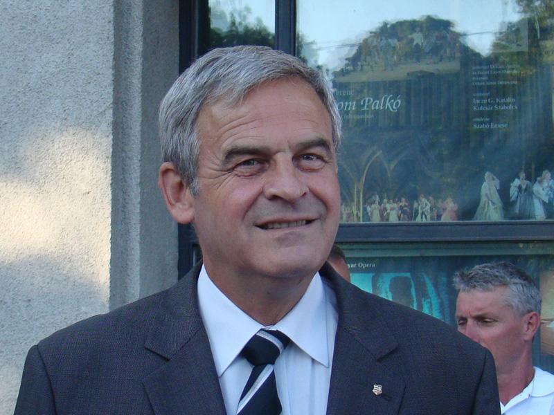 Cum se împart voturile maghiarilor la Cluj