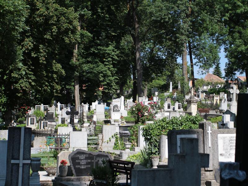 Trei kilometri de alei în cimitirele din Cluj-Napoca, cu dalele recuperate din parcul central