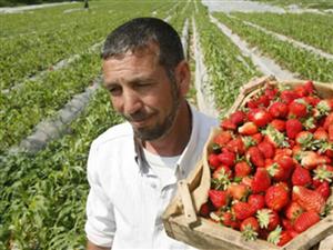 De ce nu ne mai primesc europenii la muncă