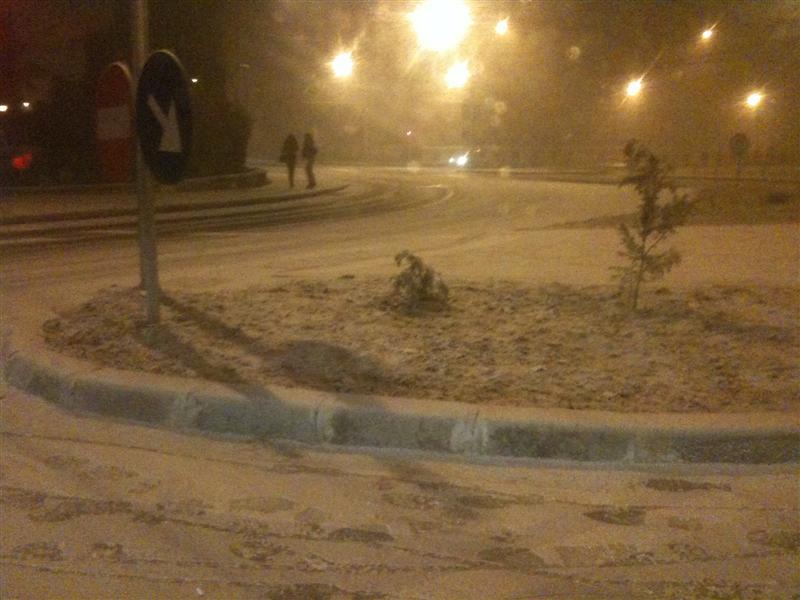 Igaş: În măsura în care majoritatea politică va fi de acord, prostituţia va fi legală