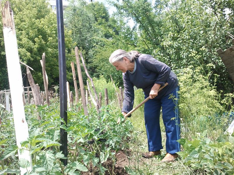 Toţi micii producătorii de legume, fructe, cereale şi material lemnos vor plăti impozit pe venit