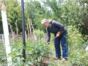 Toţi micii producătorii de legume, fructe, cereale şi material lemnos vor plăti impozit pe venit