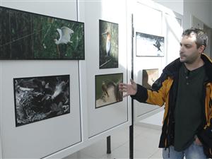 Păsări de pe trei continente, în expoziţie la Cluj
