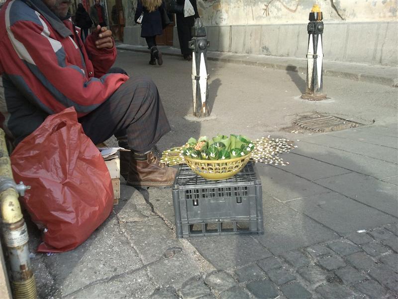 Vremea caldă aduce la Cluj ghiocei în mijlocul lui decembrie