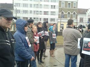 Iubitorii de animale din Cluj s-au mobilizat pe Facebook şi au ieşit în stradă ca să protesteze împotriva eutanasierii FOTO / VIDEO