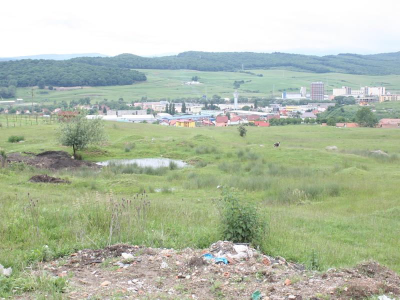 Primăria angajează avocaţi care să-i apere “dealul” de milioane de euro   