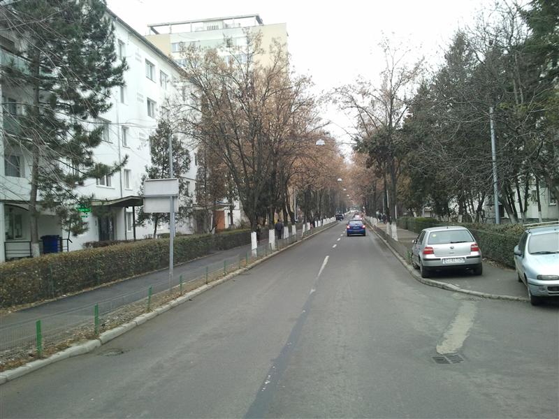Au modernizat stâlpii, după care i-au tăiat şi i-au înlocuit. Se întâmplă pe strada Albac. 