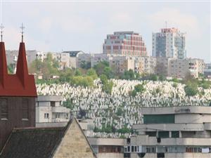 Tişe aşteaptă ca aleşii locali ai PDL să mute amplasamentul crematoriului din Mănăştur