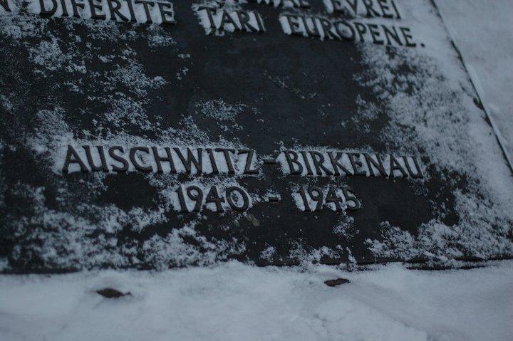 Expoziţie în memoria Holocaustului, la Muzeul de Artă