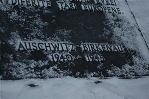 Expoziţie în memoria Holocaustului, la Muzeul de Artă