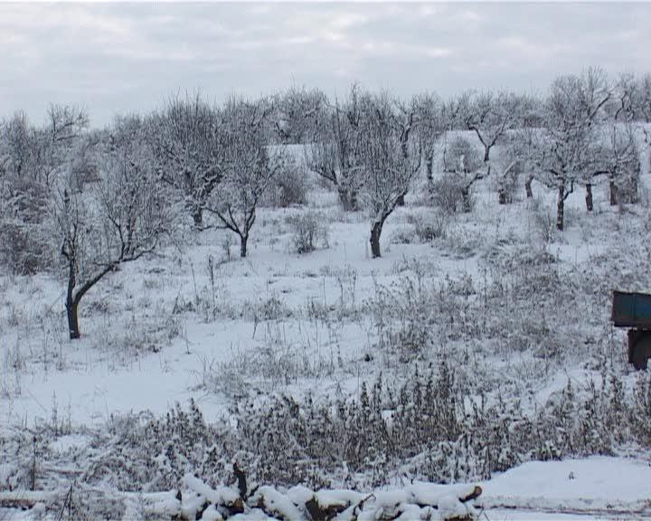Tot răul spre bine: zăpada abundentă, bucuria agricultorilor VIDEO