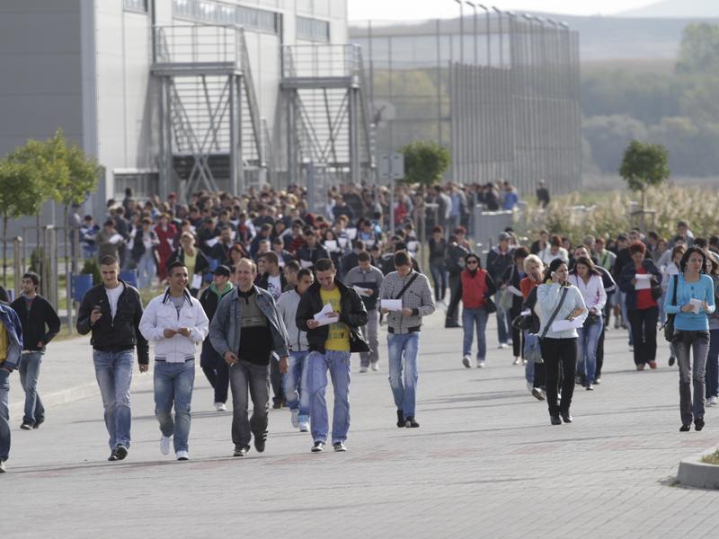 O fabrică nouă angajează 150 de persoane la Jucu