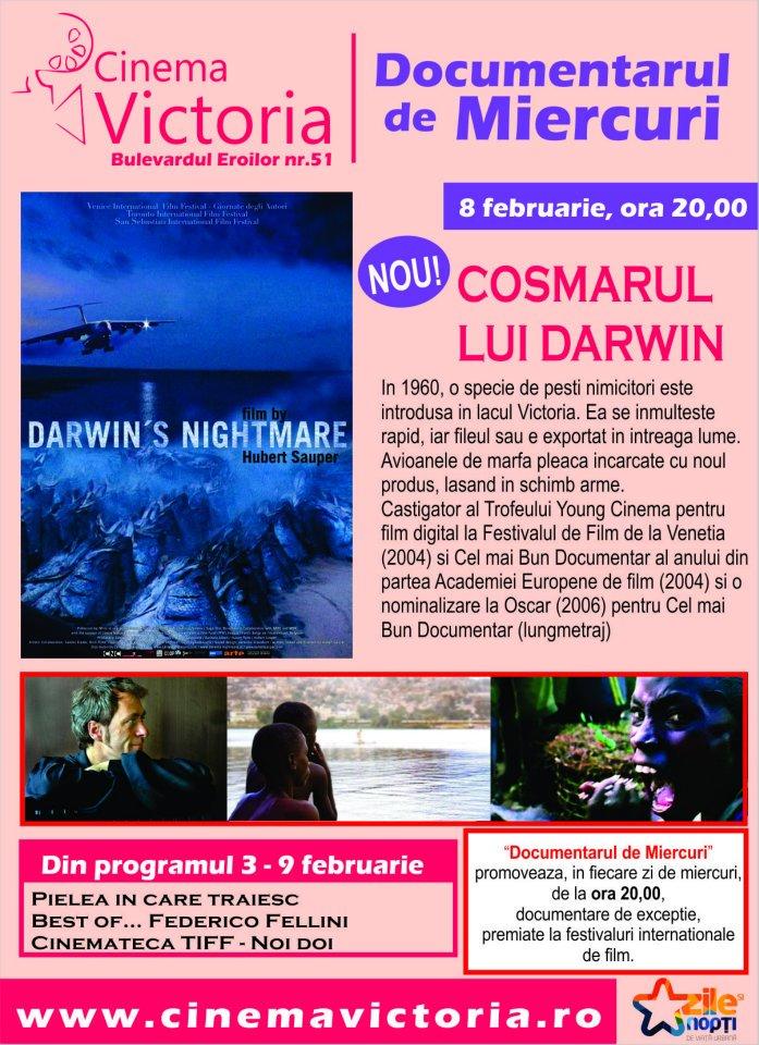 Pelicula 