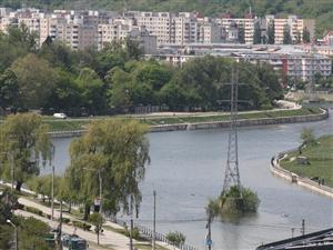 Pietonala dintre Parcul Rozelor şi Sala Sporturilor, împărţită de câini, copii, pietoni şi biciclişti