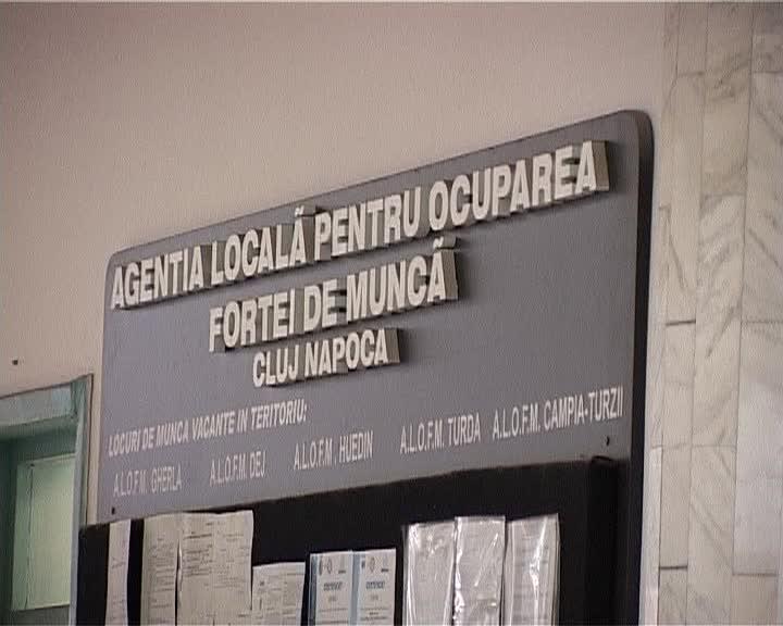 Şomerii indemnizaţi refuză locurile de muncă din cauza salariilor mici VIDEO