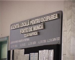 Şomerii indemnizaţi refuză locurile de muncă din cauza salariilor mici VIDEO