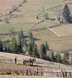 Străinii fac agricultură tradiţională în satele Clujului