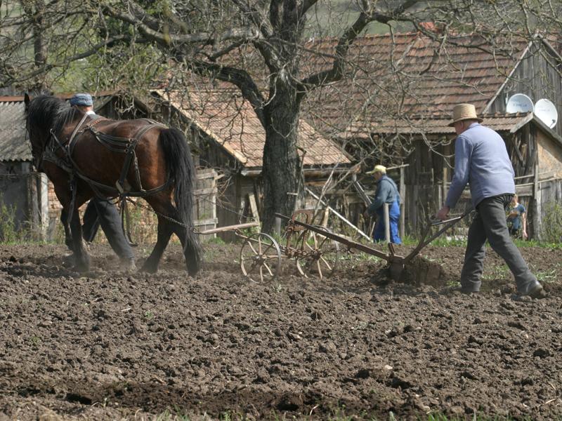 Cu cât se vând pământurile la Cluj