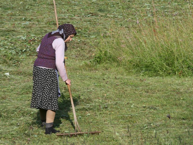 Fermierii din 6 comune clujene primesc bani europeni ca să nu facă nimic