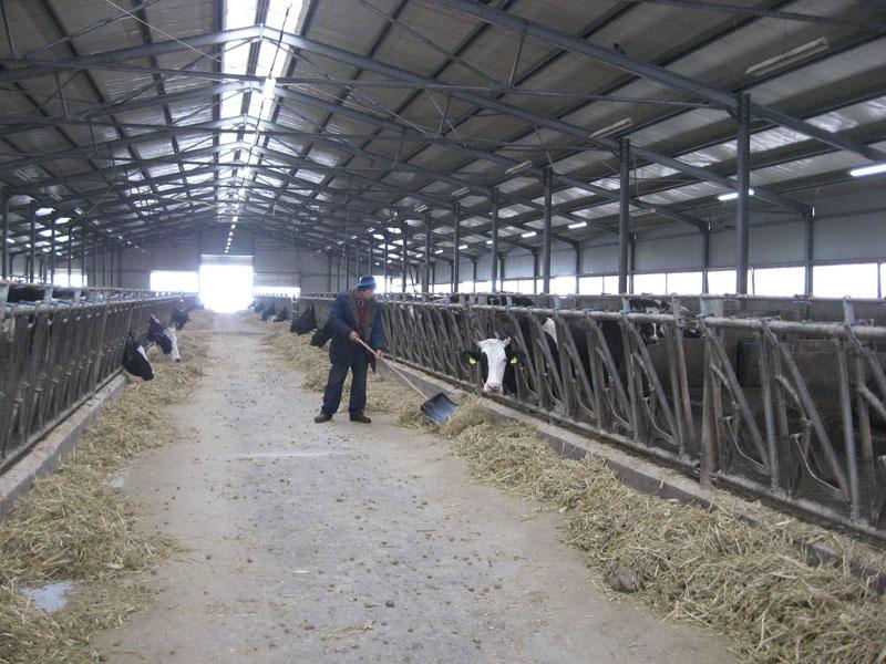 Fraţii Buzoianu fac agricultură lângă Bosch şi De’Longhi GALERIE-FOTO
