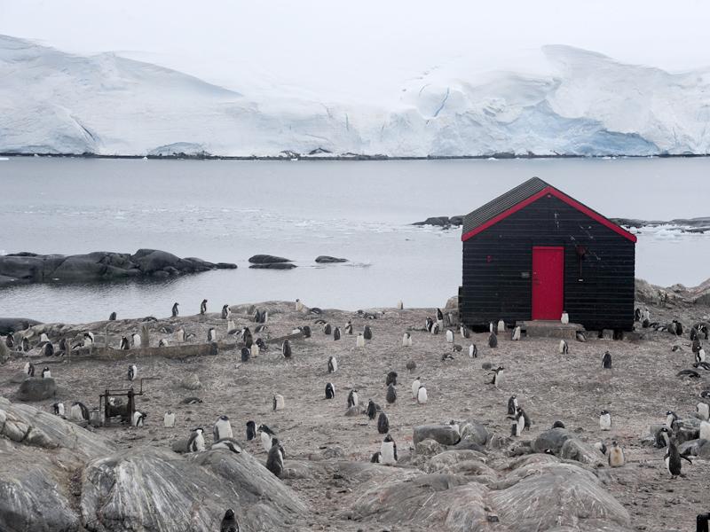 Aventură clujeană în Antarctica, pe urmele lui Racoviţă