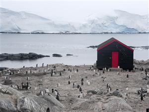 Aventură clujeană în Antarctica, pe urmele lui Racoviţă