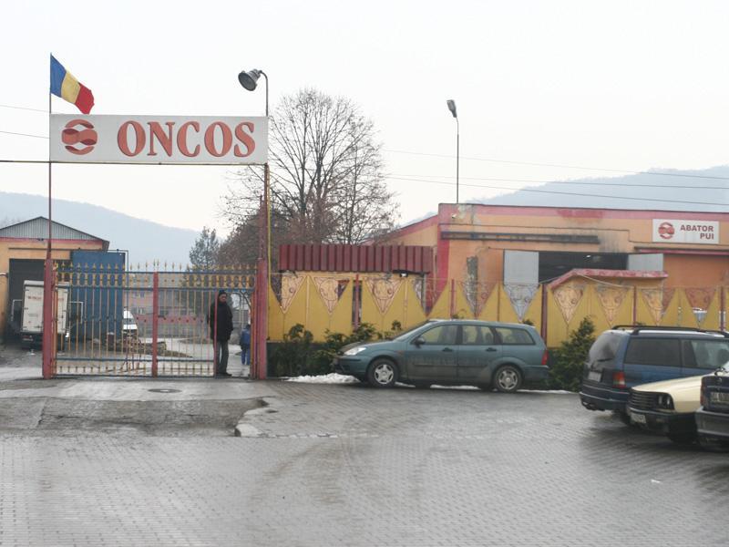 Litigiul dintre 