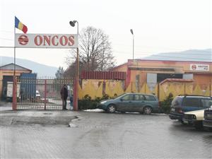 Litigiul dintre 