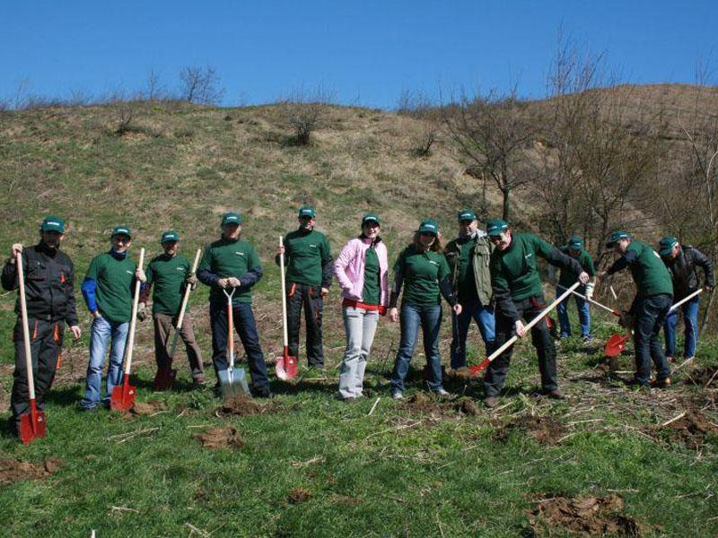 Pădurea Tineretului creşte cu 10.000 de pomi