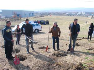 “Clau-gol” a revenit în iarbă