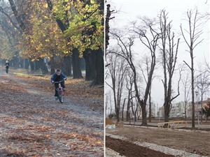 Parcul Central, o mare de betoane din care a dispărut chiar parcul  VIDEO