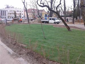 Rulouri de gazon în parcul central
